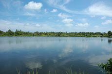 Bandara Kulhi (freshwater lake): a rare sight in the tiny islands of the Maldives