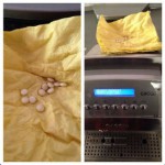 Unknown pills discovered inside Majlis coffee machine 
