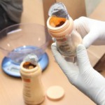 Police seize drugs worth MVR525,000 in drug busts